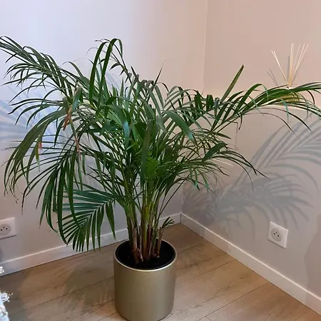 Nouveau Loft: Vieille-ville, Musee Picasso, Marche